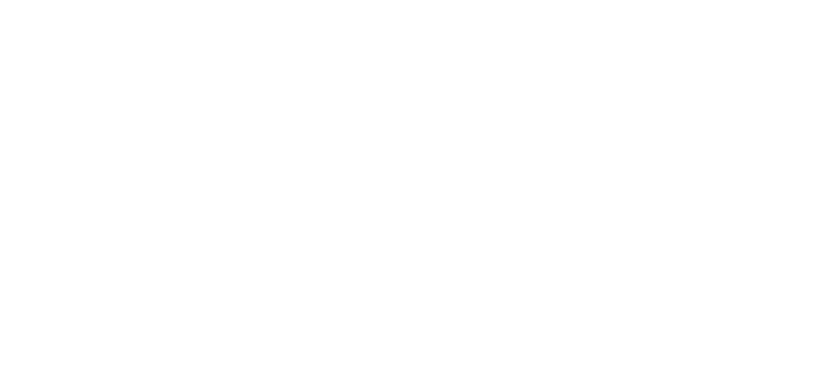 RYE AI Labs